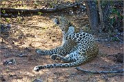 9_Motswari-654