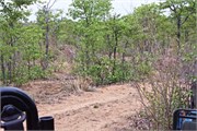 22_Motswari-655