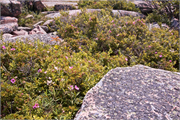25-BarHarbor2016