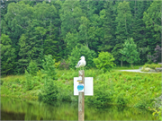 32-CornerBrook2016