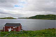 16-RedBayLabrador