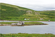 25-RedBayLabrador