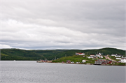 45-RedBayLabrador