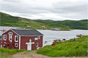 61-RedBayLabrador