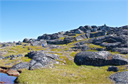 a49-QaqortoqGreenland