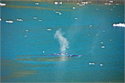 33a-PrinceChristianSund