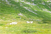 46-Scenic-Norway
