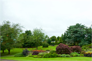 b-Belfast-27