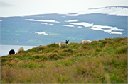29-Vigur_Island