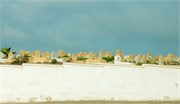 008-RabatMorocco