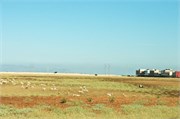 007-Volubilis-Meknes-Fez