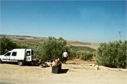 010-Volubilis-Meknes-Fez