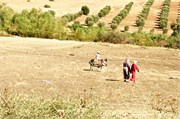 014-Volubilis-Meknes-Fez
