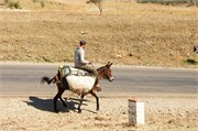 019-Volubilis-Meknes-Fez