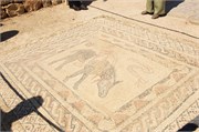 053-Volubilis-Meknes-Fez