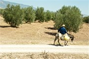 082-Volubilis-Meknes-Fez
