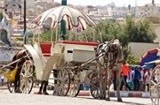 094-Volubilis-Meknes-Fez