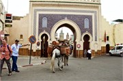 013-Fez