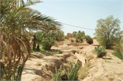 014-Desert_Todra_AltBenHaddou