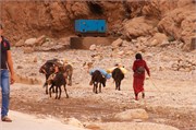 046-Desert_Todra_AltBenHaddou