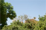 088-Marrakesh_BahiaPalace