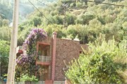 025-Majorelle_Marrakesh