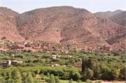 027-Majorelle_Marrakesh