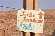 037-Majorelle_Marrakesh