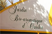 038-Majorelle_Marrakesh
