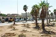 010-ArganOilLoop_Essaouira