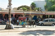011-ArganOilLoop_Essaouira