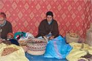 015-ArganOilLoop_Essaouira