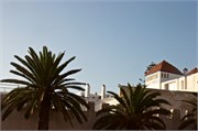 037-ArganOilLoop_Essaouira