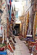 038-ArganOilLoop_Essaouira