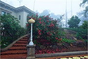 024-HearstCastle