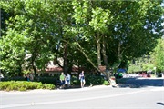 08-Leura_NSW