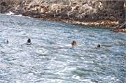 65-BruneyIsland