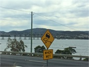 39-HobartTramTour