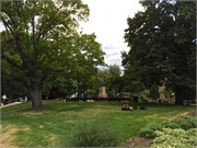 62-HobartTramTour