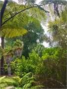 05-BotanicalGardens