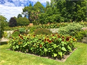 16-BotanicalGardens