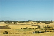 01-Port-Arthur