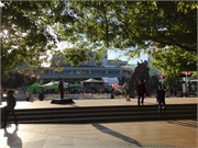 07-AucklandNZ