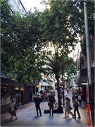 09-AucklandNZ