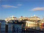 14-AucklandNZ