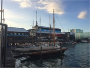 16-AucklandNZ