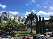 17-Auckland-Insignia