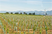 30-Picton_and_MalboroughNZ