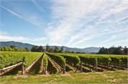17-MoaBreweryNZ