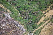 34-AkaroaHarborNZ